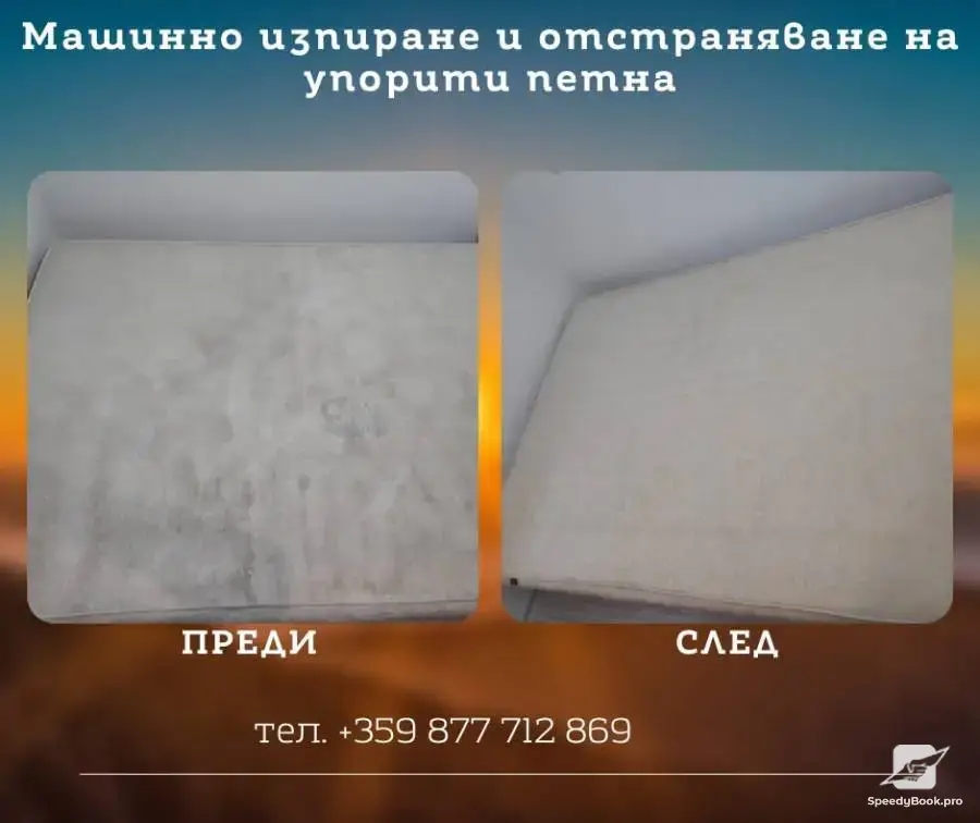 Професионално почистване