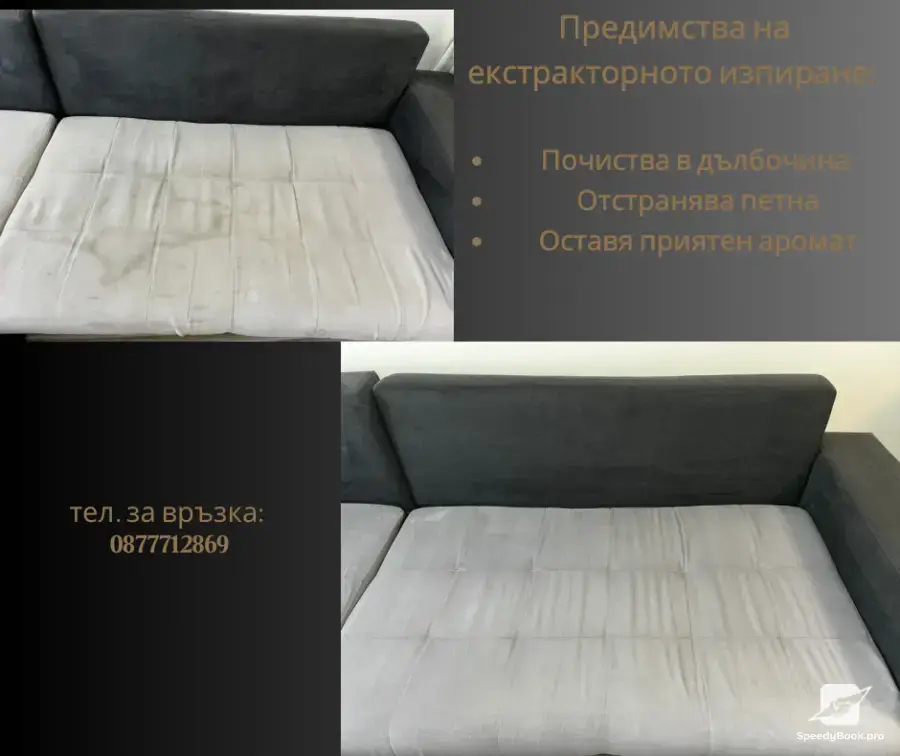 Професионално почистване
