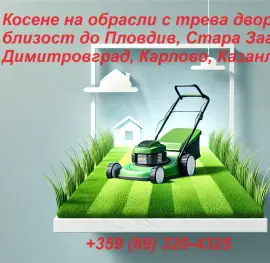 Mowing overgrown grass - Tomich