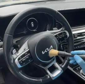 Car detailing, upholstery, carpet, and mattress cleaning