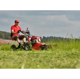 Садовые услуги, профессиональный уход