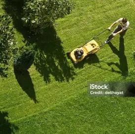 Gardening services , professional maintenance