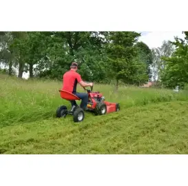 Gardening services , professional maintenance