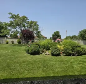 Professional maintenance and landscaping