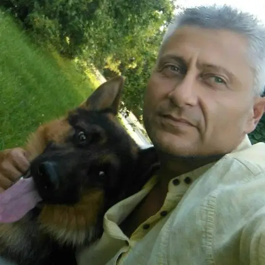 Наблюдение за домашними животными