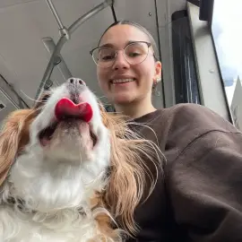 Pet watching