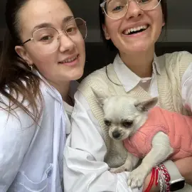 Pet watching
