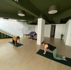 Morning, lunchtime and evening workouts in yoga, pilates, fitball and folk dance