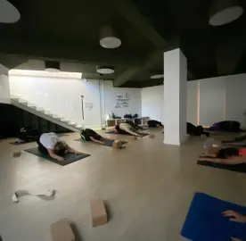 Morning, lunchtime and evening workouts in yoga, pilates, fitball and folk dance