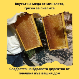 Shop for beekeeping equipment and products 