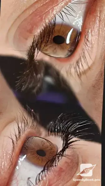 Natalka Brows