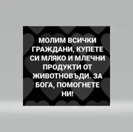 ЗАПРОСЫ НА ДОМАШНИЙ СЫР И СВЕЖЕЕ МОЛОКО ПРЯМО С ФЕРМЫ