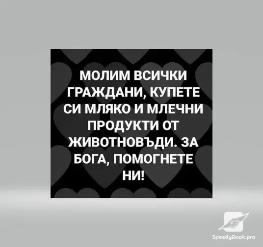 ЗАЯВКИ ЗА ДОМАШО СИРЕНЕ КАШКАВАЛ И ПРЯСНО МЛЯКО ДИРЕКТНО ОТ ФЕРМАТА