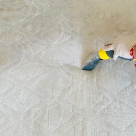 Washing of upholstered furniture and carpets