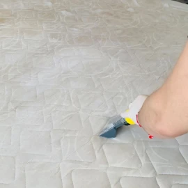 Washing of upholstered furniture and carpets