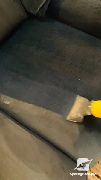 Washing of upholstered furniture and carpets