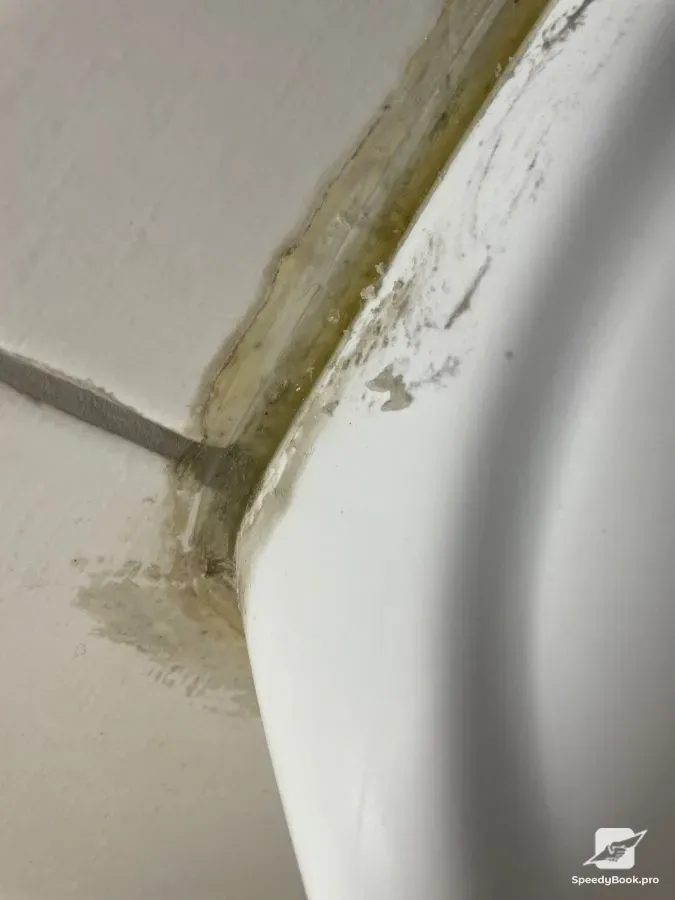 Professional Cleaning