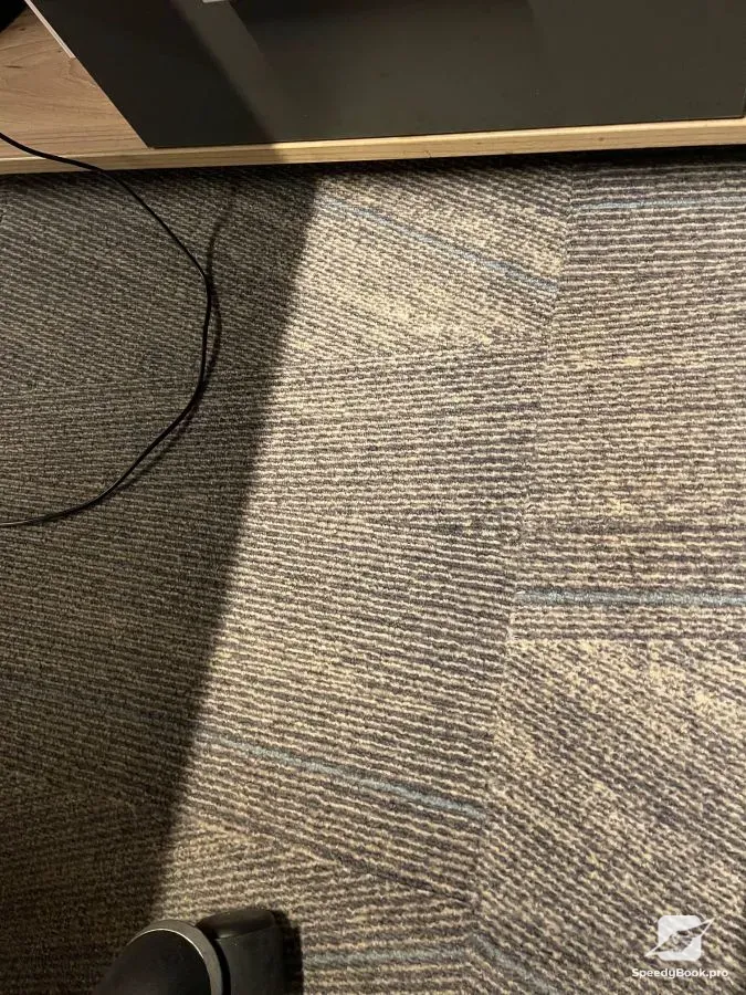 Professional Cleaning