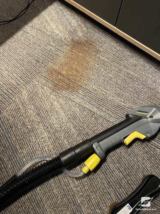 Professional Cleaning