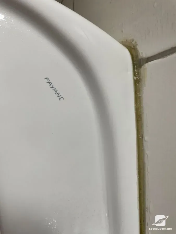 Professional Cleaning