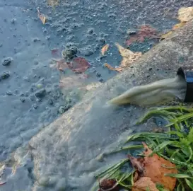 Почистване на сондажи за вода