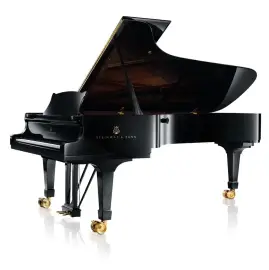 I give private piano lessons