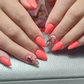 1350 BGN Basic course manicure, pedicure, nail art