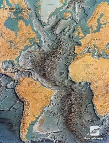Экстренная консультация.