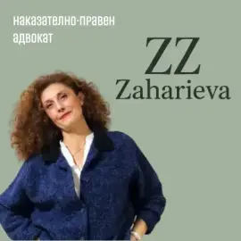 Criminal Lawyer