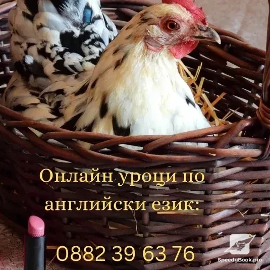 Онлайн уроци по английски език