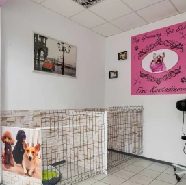 Dog Grooming Spa Salon