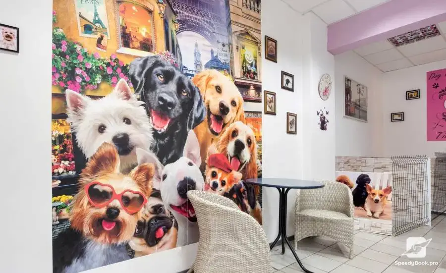 Dog Grooming Spa Salon