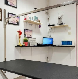 Dog Grooming Spa Salon