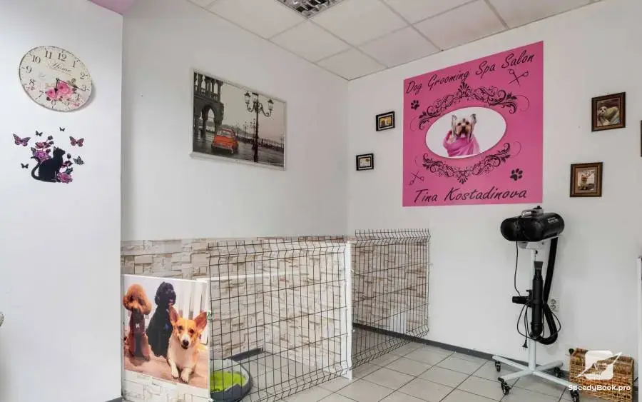 Dog Grooming Spa Salon