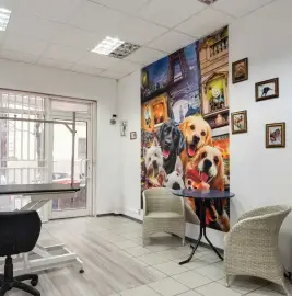 Dog Grooming Spa Salon