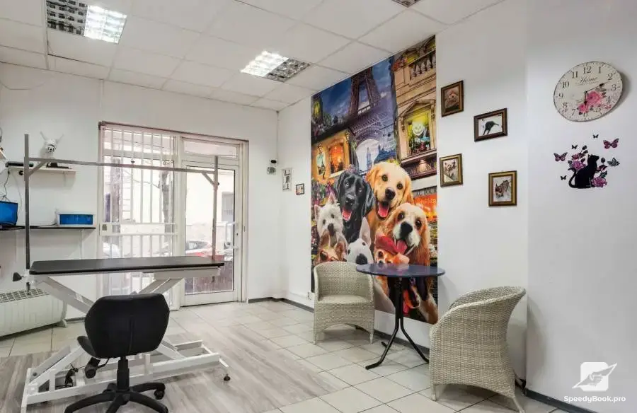Dog Grooming Spa Salon