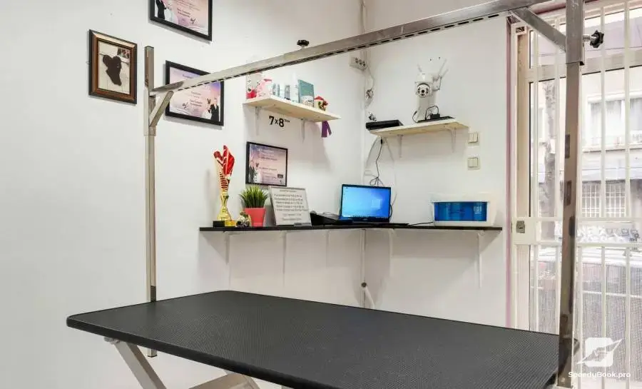 Dog Grooming Spa Salon