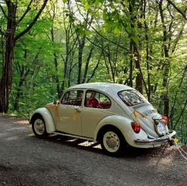 Retro car rental for events