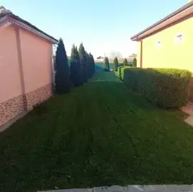 Gardening services