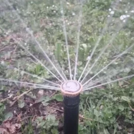 Gardening services
