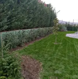 Gardening services