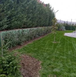 Gardening services