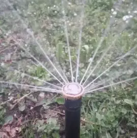 Gardening services