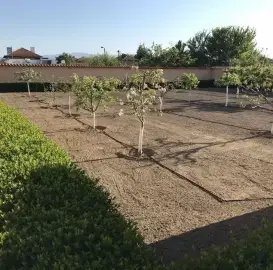 Maintenance of gardens, houses, landscaping!