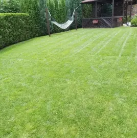 Maintenance of gardens, houses, landscaping!