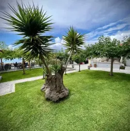 Maintenance of gardens, houses, landscaping!