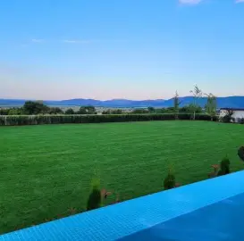 Maintenance of gardens, houses, landscaping!