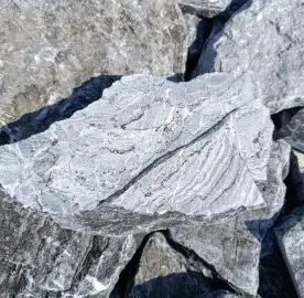 Grey wall stone gneiss (rock face) - for walls and fences