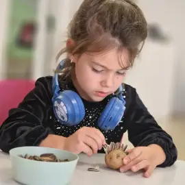 Monthly subscription for day care of a child up to 2.5 years