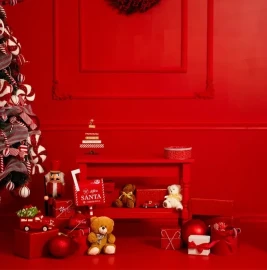 Christmas photo sessions